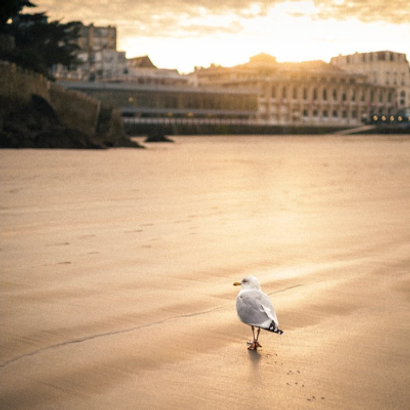 oiseau isolé