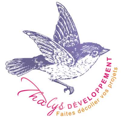 Logo Thalys Développemnt